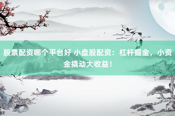股票配资哪个平台好 小盘股配资：杠杆掘金，小资金撬动大收益！