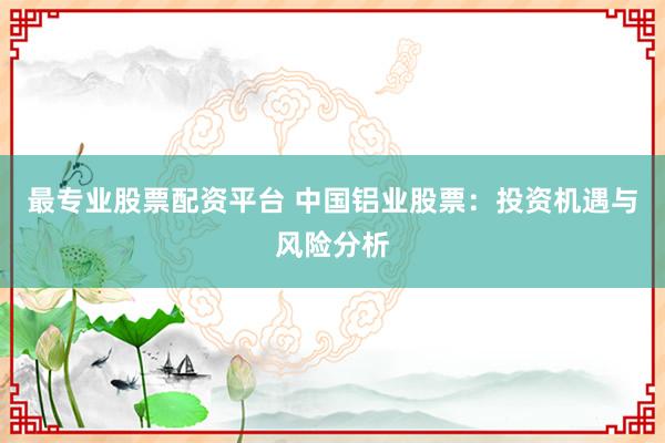 最专业股票配资平台 中国铝业股票：投资机遇与风险分析