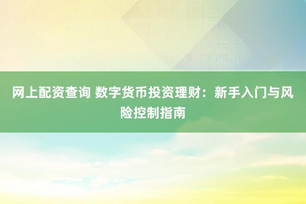 网上配资查询 数字货币投资理财：新手入门与风险控制指南