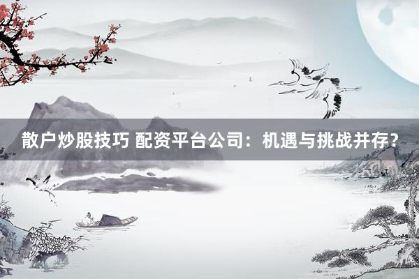 散户炒股技巧 配资平台公司：机遇与挑战并存？