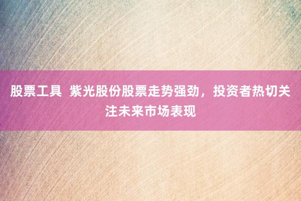 股票工具  紫光股份股票走势强劲，投资者热切关注未来市场表现